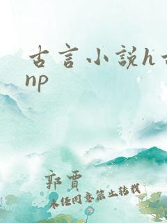 古言小说h古言np