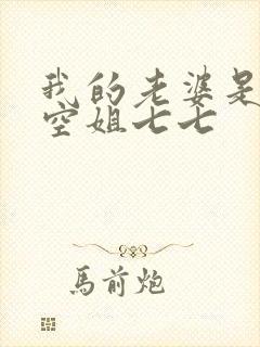 我的老婆是一名空姐七七