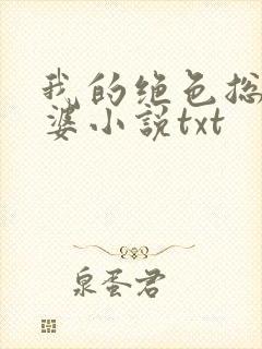 我的绝色总裁老婆小说txt