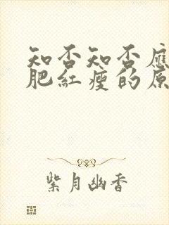 知否知否应是绿肥红瘦的原著