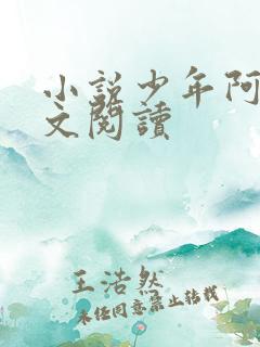 小说少年阿斌全文阅读