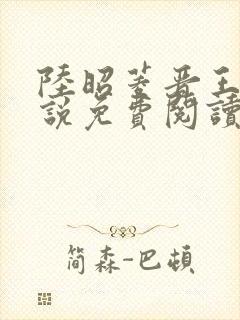 陆昭菱晋王的小说免费阅读