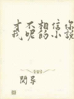 才不相信你暗恋我呢的小说
