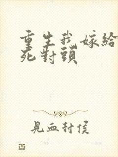 重生我嫁给了对死对头