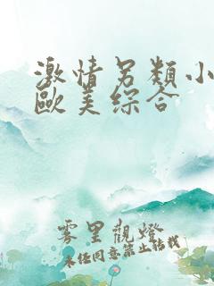 激情另类小说乱欧美综合