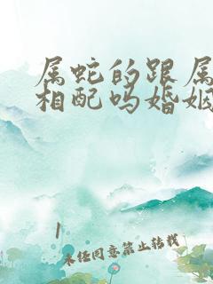 属蛇的跟属狗的相配吗婚姻