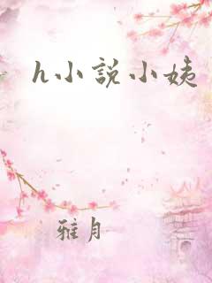 h小说小姨