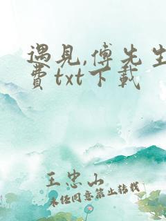 遇见,傅先生免费txt下载