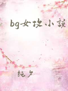 bg女攻小说