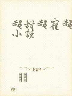 超甜超宠超撩的小说