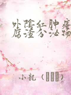 外阴红肿瘙痒豆腐渣分泌物