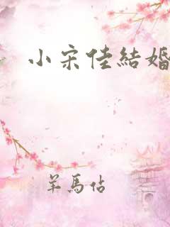 小宋佳结婚了吗