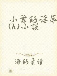 小舞的淫辱日记(h)小说