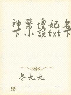 神医傻妃名动天下小说txt下载