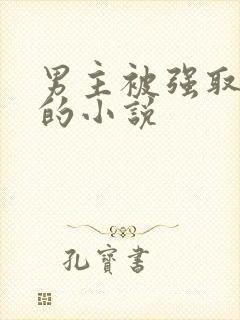 男主被强取豪夺的小说