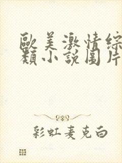 欧美激情综合另类小说图片