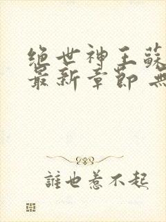 绝世神王苏莫 最新章节 无弹窗 笔趣阁