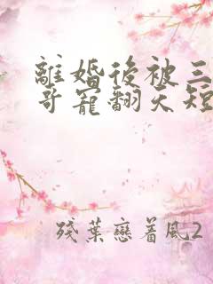 离婚后被三个哥哥宠翻天短剧免费观看