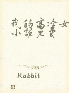 我的高冷女总裁小说免费