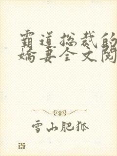 霸道总裁的独宠娇妻全文阅读