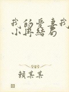 我的爱妻我的父小冉结局