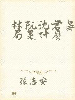 林阮沈君晏大结局是什么