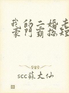 我的二婚老公是豪门霸总短剧