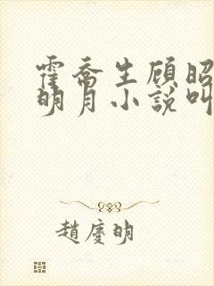 霍乔生顾昭微贺明月小说叫什么