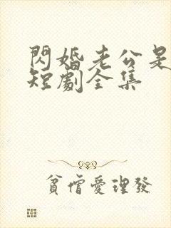 闪婚老公是豪门短剧全集