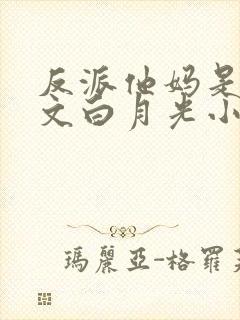 反派他妈是年代文白月光小说