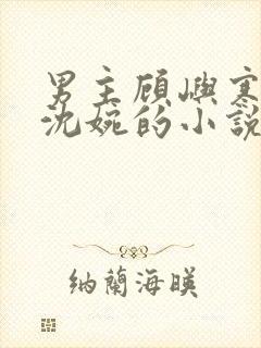 男主顾屿寒女主沈婉的小说