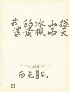 我的冰山总裁老婆黄枫雨天