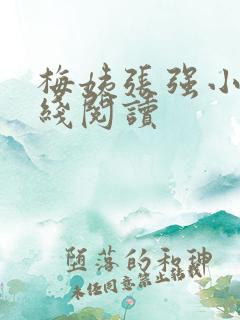 梅姨张强小说在线阅读