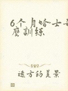 6个月哈士奇怎么训练