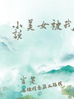 小美女被我操小说