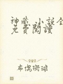 神藏 小说全文免费阅读