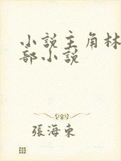 小说主角林凡全部小说