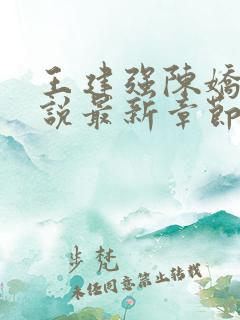 王建强陈娇娇小说最新章节