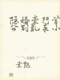 隐婚豪门首席老公别乱来小说