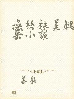 操丝袜美腿玉足岳小说