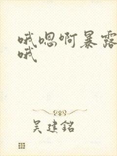 哦嗯啊暴露爽啊哦