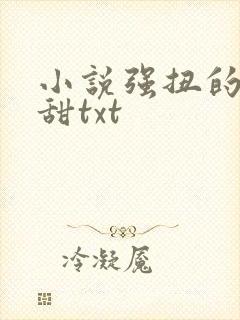 小说强扭的瓜超甜txt