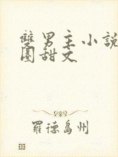 双男主小说娱乐圈甜文