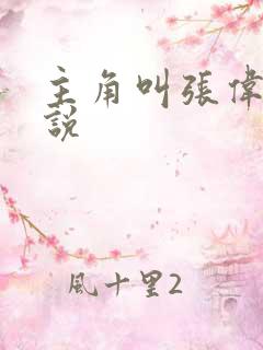 主角叫张伟的小说