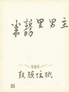 小说里男主有弟弟的