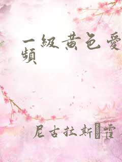 一级黄色爱爱视频