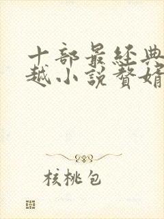 十部最经典的穿越小说赘婿