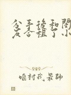 分手后和闺蜜男友合租了小说放点陈醋