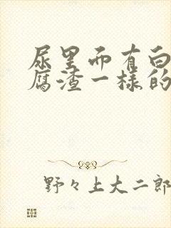 尿里面有白色豆腐渣一样的东西