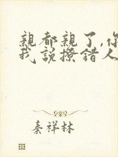 亲都亲了,你跟我说撩错人了小说